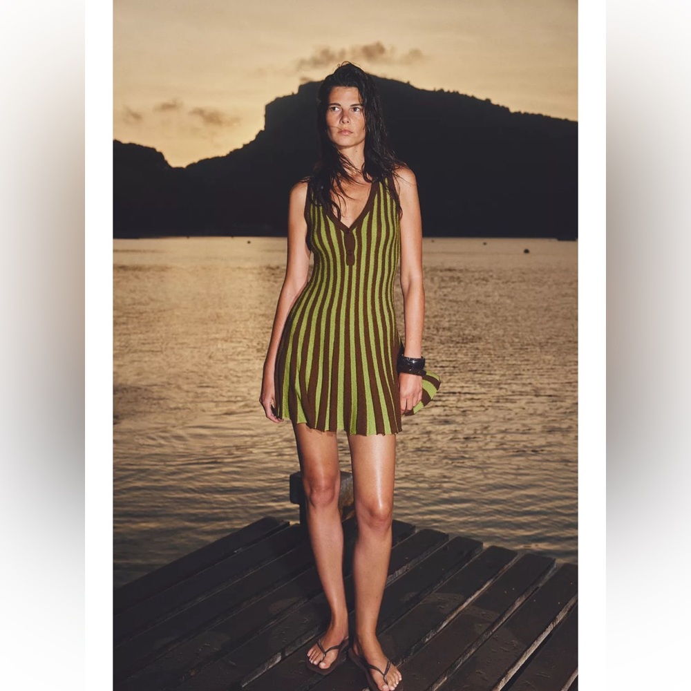 Zara Olive and Chocolate Striped Midi Dress